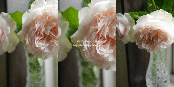 f0330978_06105411.gif