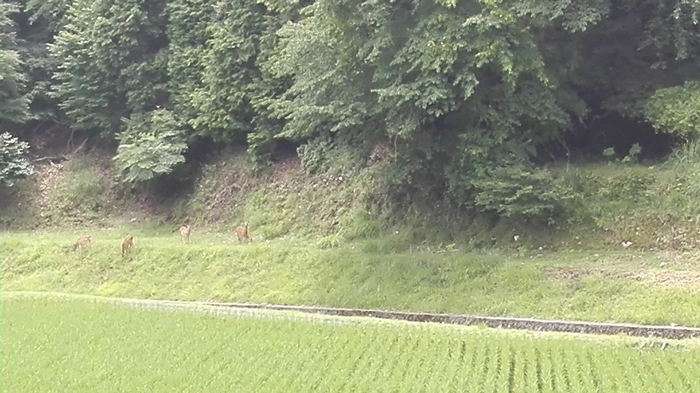 a0199979_20200588.jpg