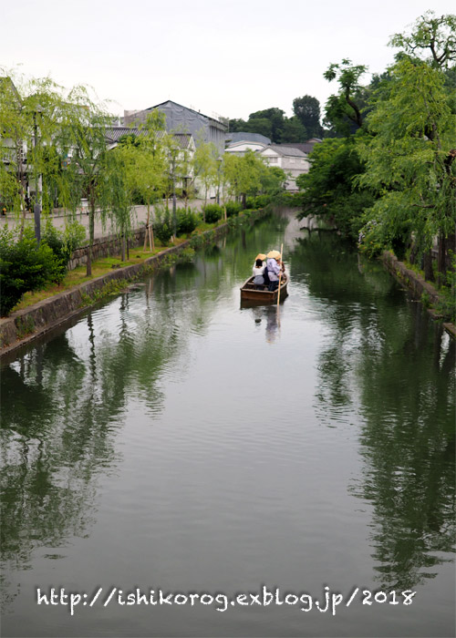 睡蓮と紫陽花の咲くころ・倉敷_a0223379_0101326.jpg