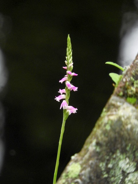 f0378979_16283482.jpg