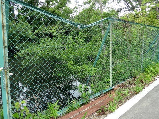 f0378979_16420240.jpg