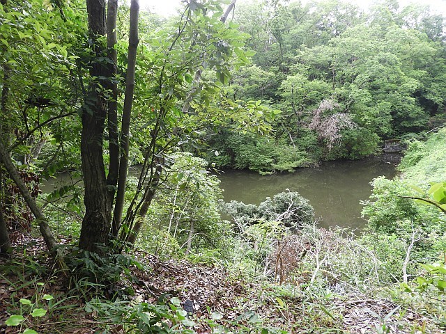 f0378979_16494566.jpg