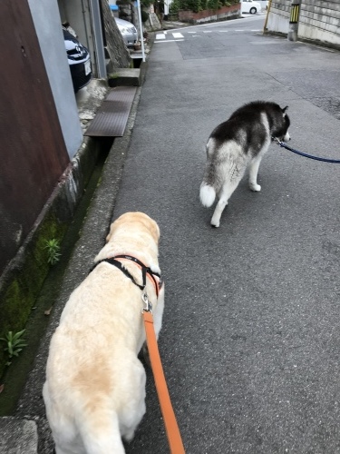 f0315081_22170945.jpeg