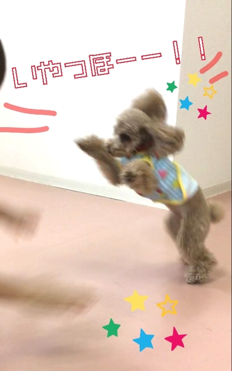 トレーニングブログ_f0357682_21340332.jpg
