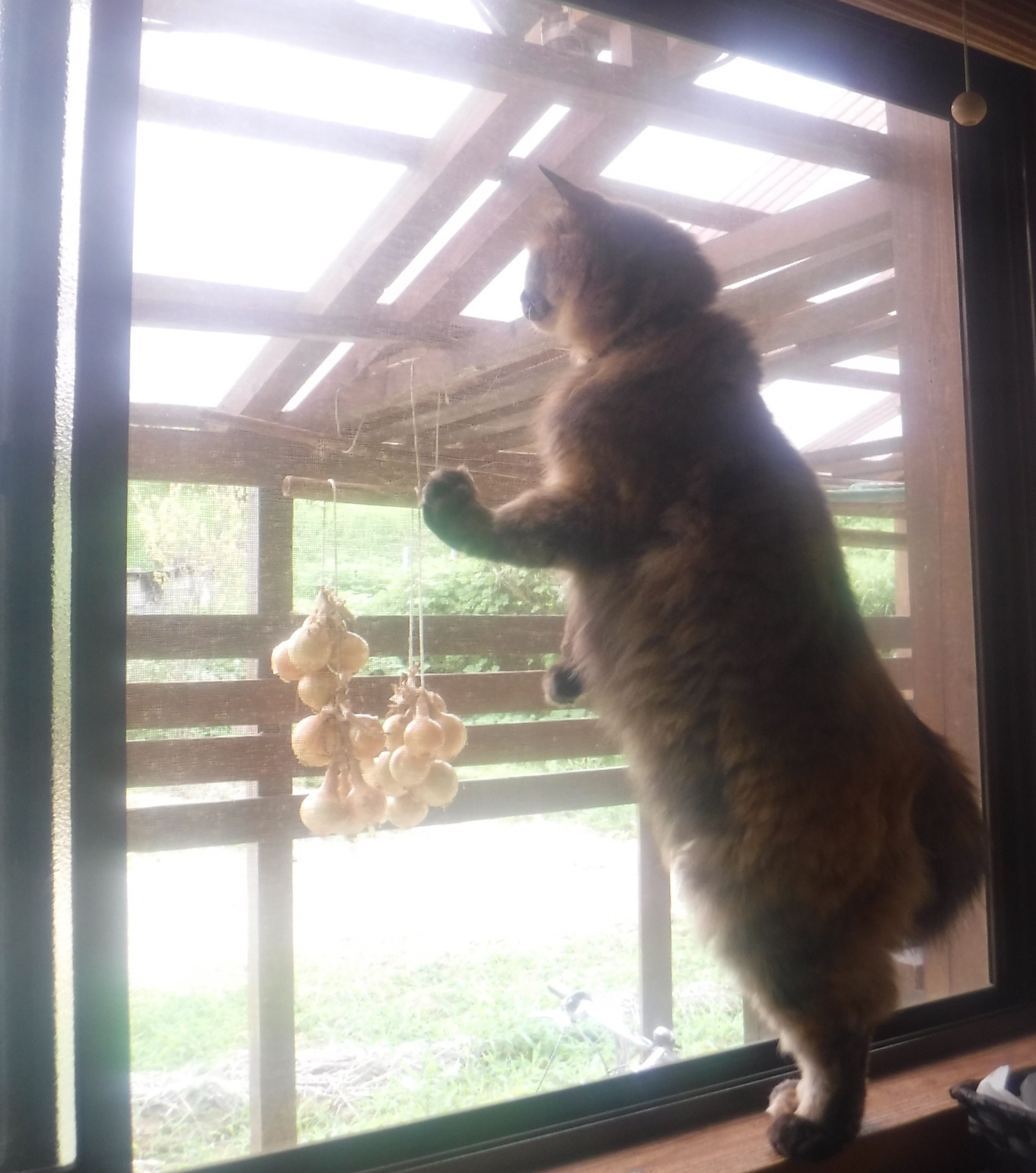 d0195183_23153119.jpeg