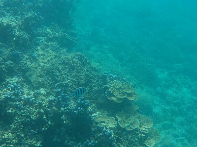 d0074596_9431030.jpg
