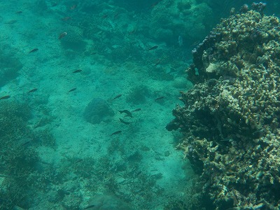 d0074596_9435861.jpg