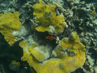d0074596_9454862.jpg