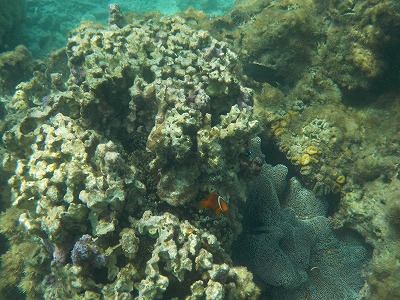 d0074596_9462012.jpg