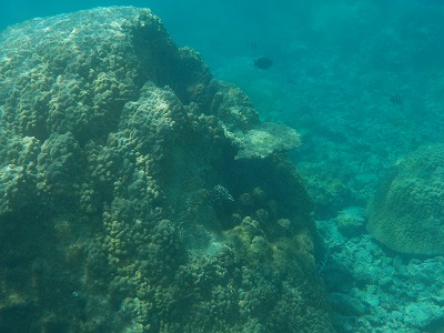 d0074596_9471537.jpg