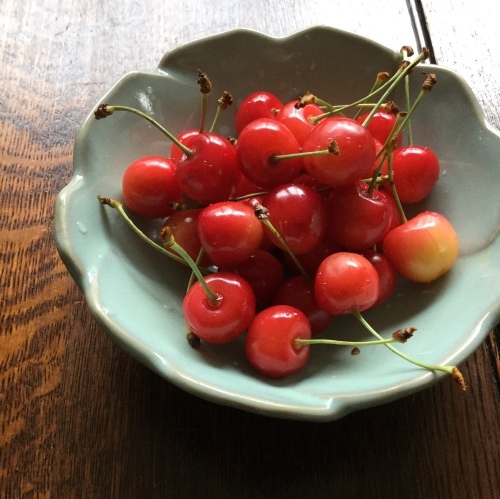 ベスト (２)_e0358096_20491796.jpeg