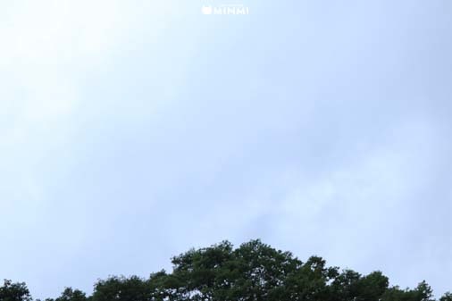 梅雨らしい曇り空です(*^▽^*)_c0140599_10483424.jpg