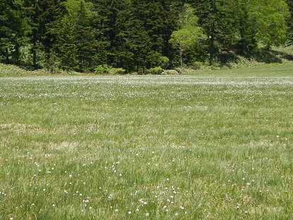 e0077899_8523740.jpg