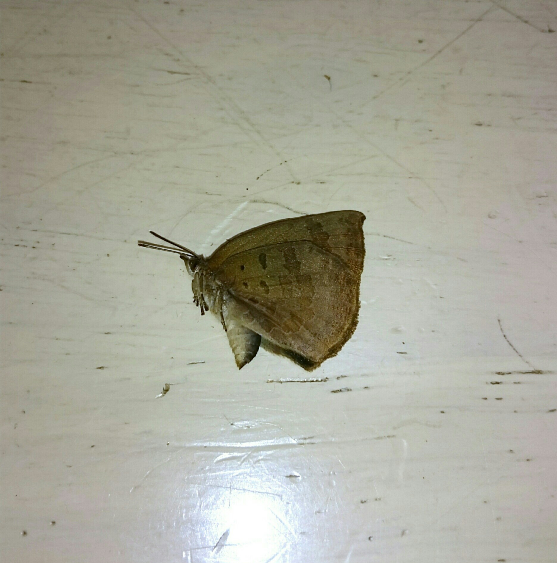 a0361610_23585421.jpg