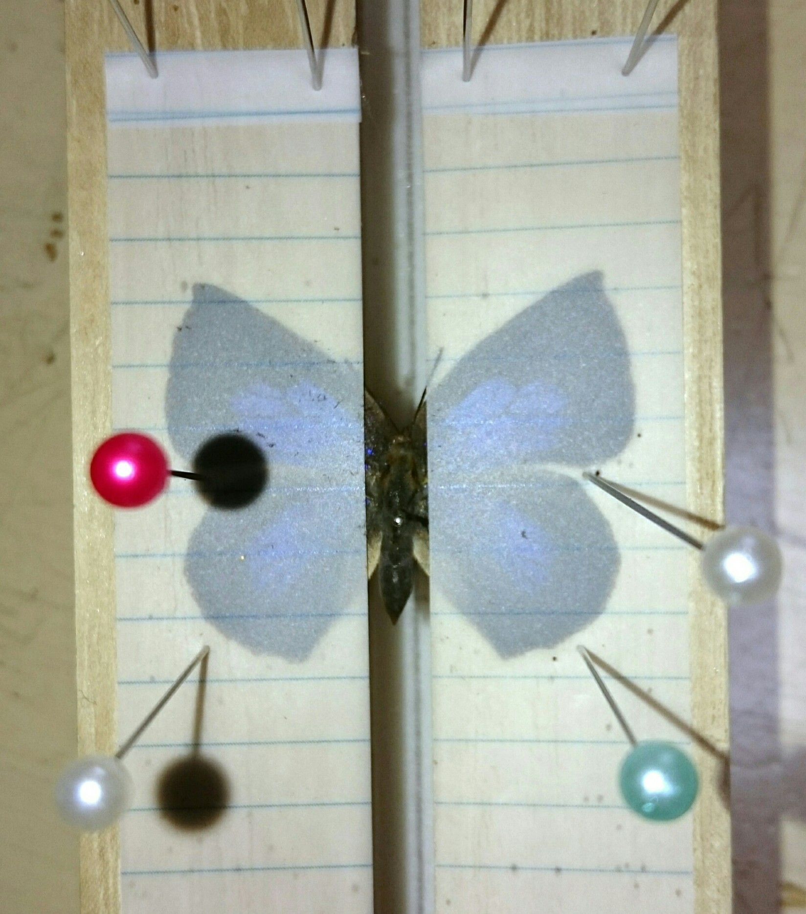 a0361610_23593903.jpg