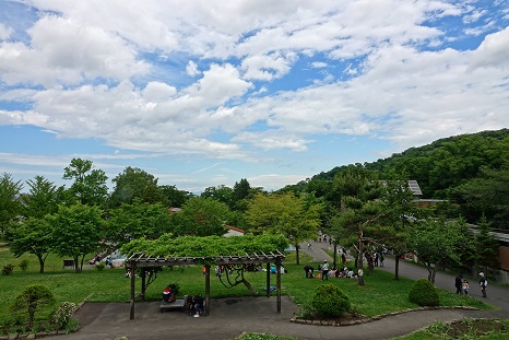 a0151913_2311545.jpg