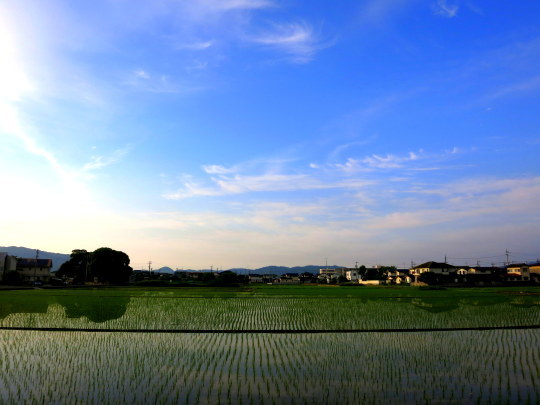 a0158613_14593959.jpg