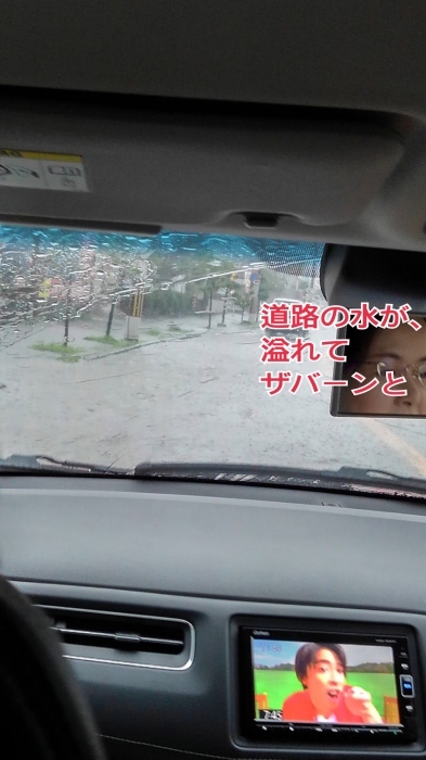 b0163114_20014890.jpeg