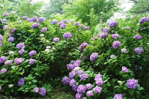 f0215714_16361601.jpg