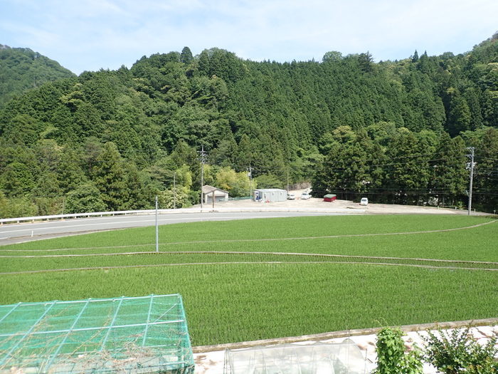 曇りのち晴れのち曇り_c0116915_23321448.jpg