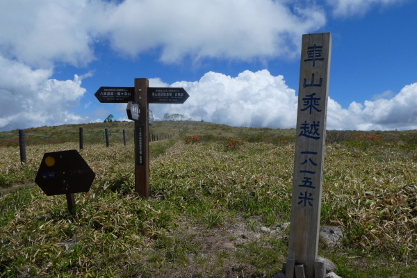 ＊＊＊＊＊レンゲツツジ咲く　霧ケ峰（車山）  ゼブラ山登頂 編 ＊＊＊＊＊_d0170615_20081739.jpg