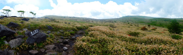 ＊＊＊＊＊レンゲツツジ咲く　霧ケ峰（車山）  ゼブラ山登頂 編 ＊＊＊＊＊_d0170615_20095030.jpg