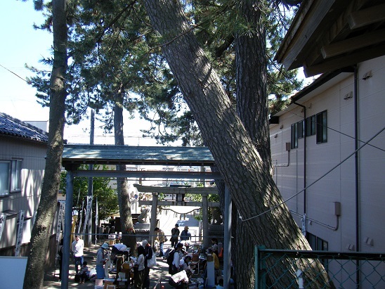 f0351315_21194062.jpg