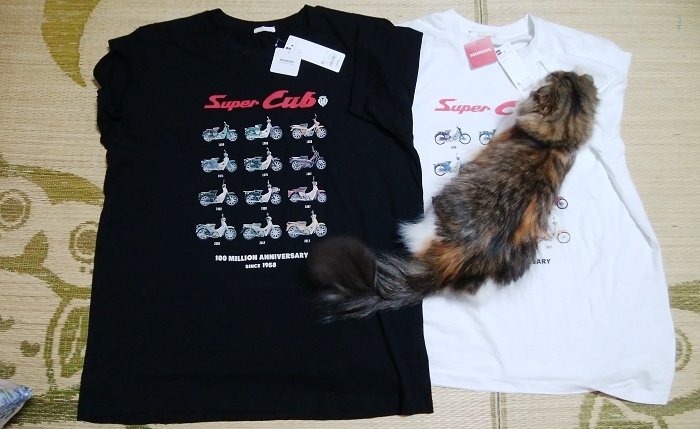 GUコラボのカブTシャツと、スコテッシュフォールドの\"みみ\"ちゃん_d0118616_09401004.jpg