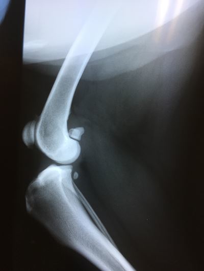c0114121_00005583.jpg