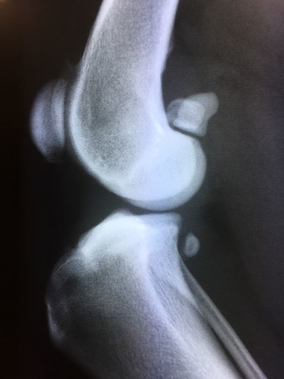 c0114121_00010827.jpg