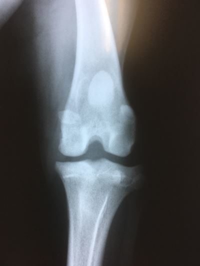 c0114121_00505838.jpg