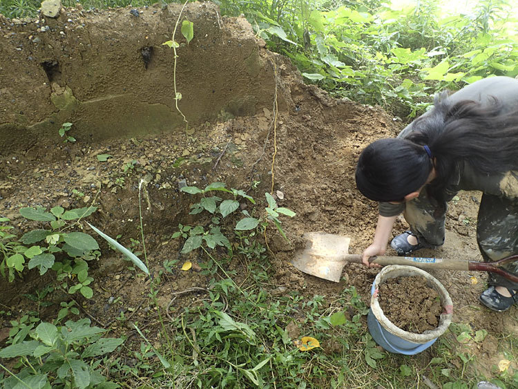 e0156224_00182271.jpg