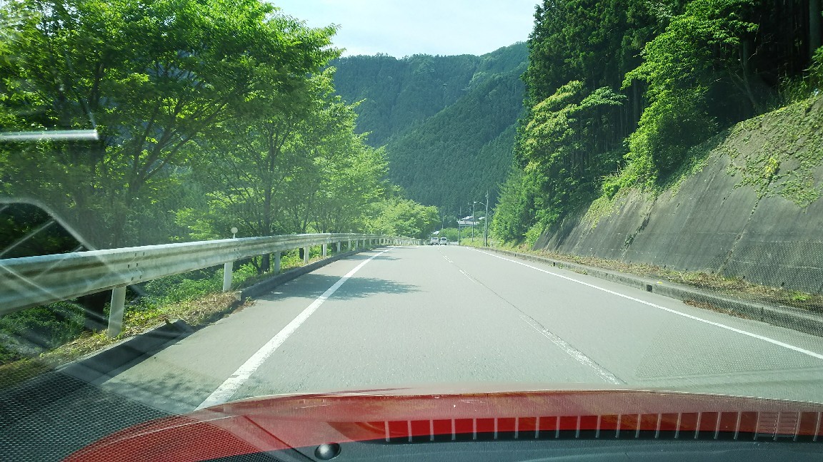 Schiarita  梅雨の晴れ間に　津ぅうなぎ_c0360327_13512442.jpg