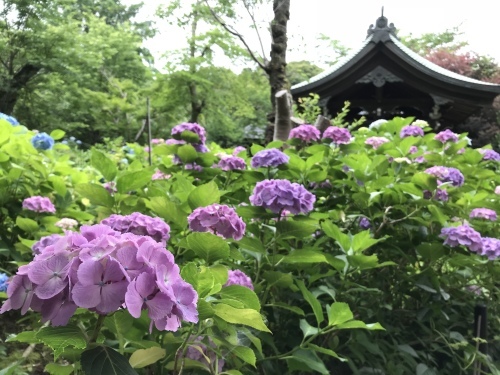 b0132630_11234214.jpeg