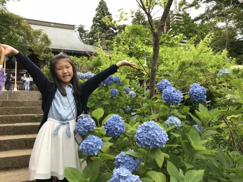 b0132630_11270431.jpeg