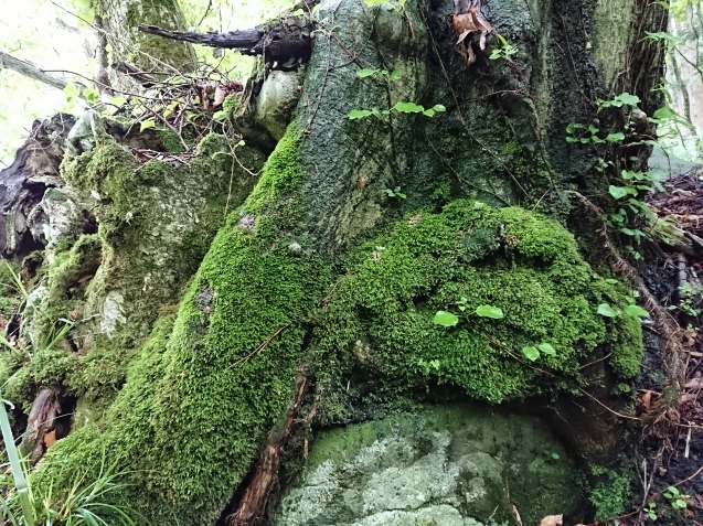 f0118332_01050211.jpg