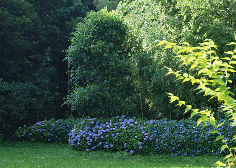 d0290240_11260840.gif