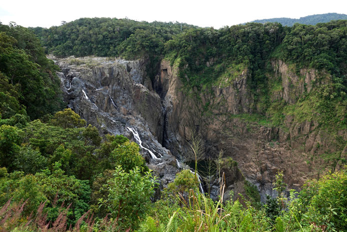 d0149245_22175869.jpg