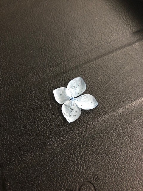 紫陽花のプリザーブドフラワーをuvレジンでコーティングしてみた 続 しあさっての幸せ