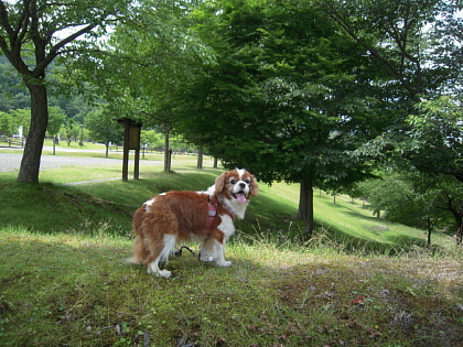 f0122853_21260770.jpg