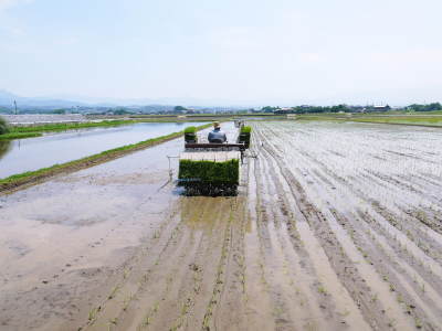 砂田のこだわりれんげ米 田植えを現地取材(2018)前編 土にこだわる匠は今年も無農薬で育てます!!_a0254656_18593088.jpg