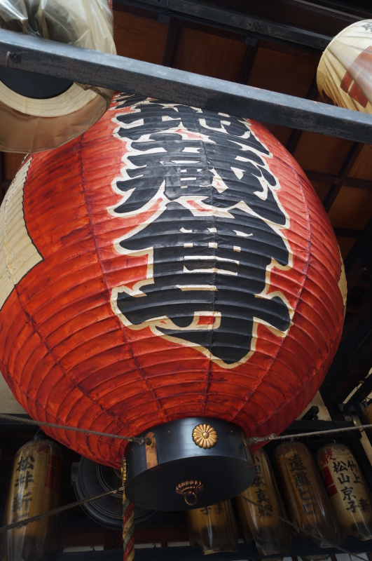 めやみ地蔵 仲源寺_b0063958_22185062.jpg