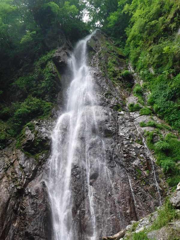 丹沢 中川川西沢ウォーターウォーキング ひとり山岳会 片雲の風 丹沢 中川川西沢ウォーターウォーキング ひとり山岳会 片雲の風