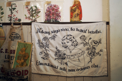 黒磯「Dear,Folks & Flowers」へ_e0243765_00202890.jpg