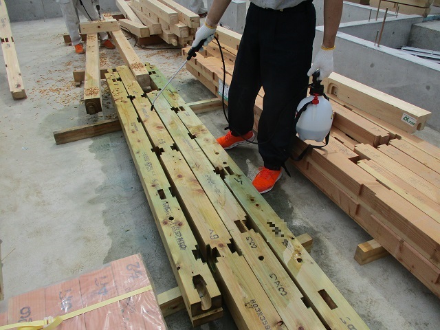 c0247768_8151054.jpg