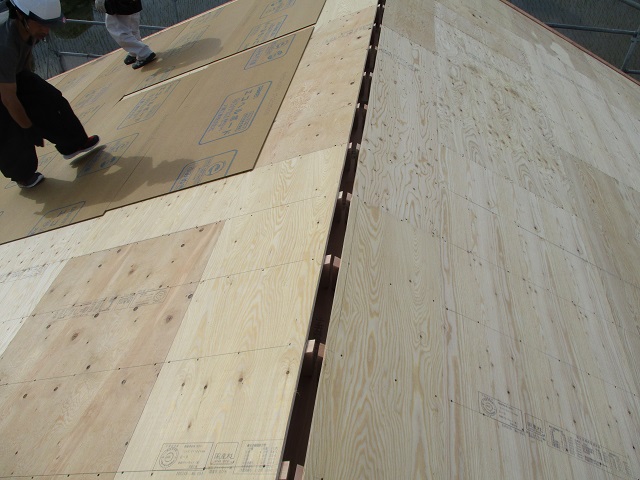 c0247768_8154561.jpg