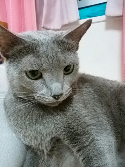 f0200871_0321683.jpg