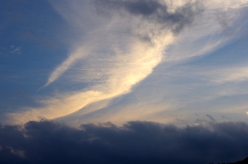 f0054677_06372104.jpg
