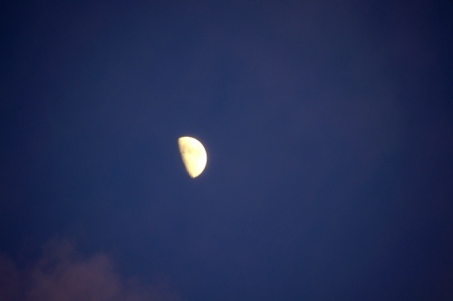 f0054677_06375636.jpg