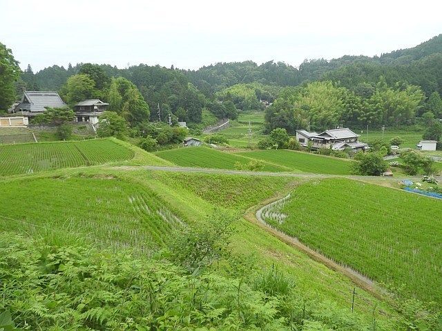 f0378979_18004145.jpg